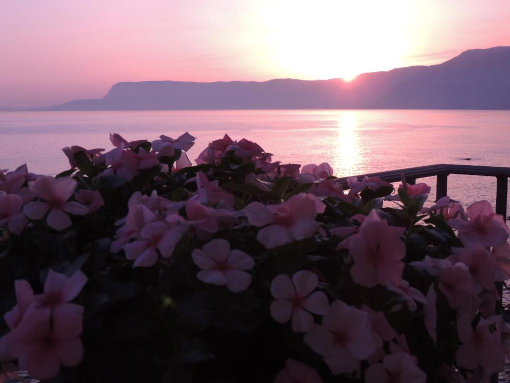 B&B La Veduta Scilla Eksteriør billede